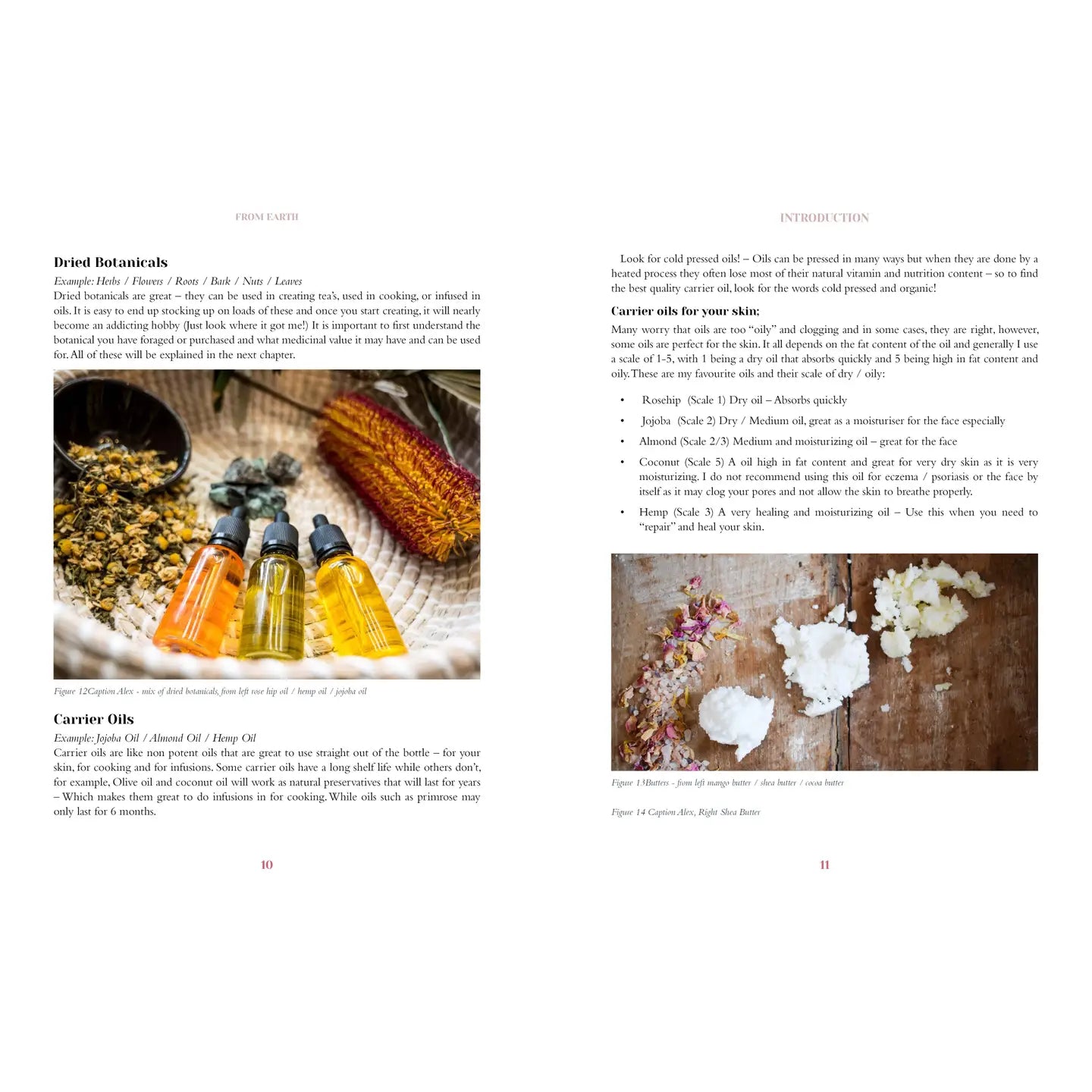 Pages from the natural apothecary book featuring herbal recipes and essential oils for wellness