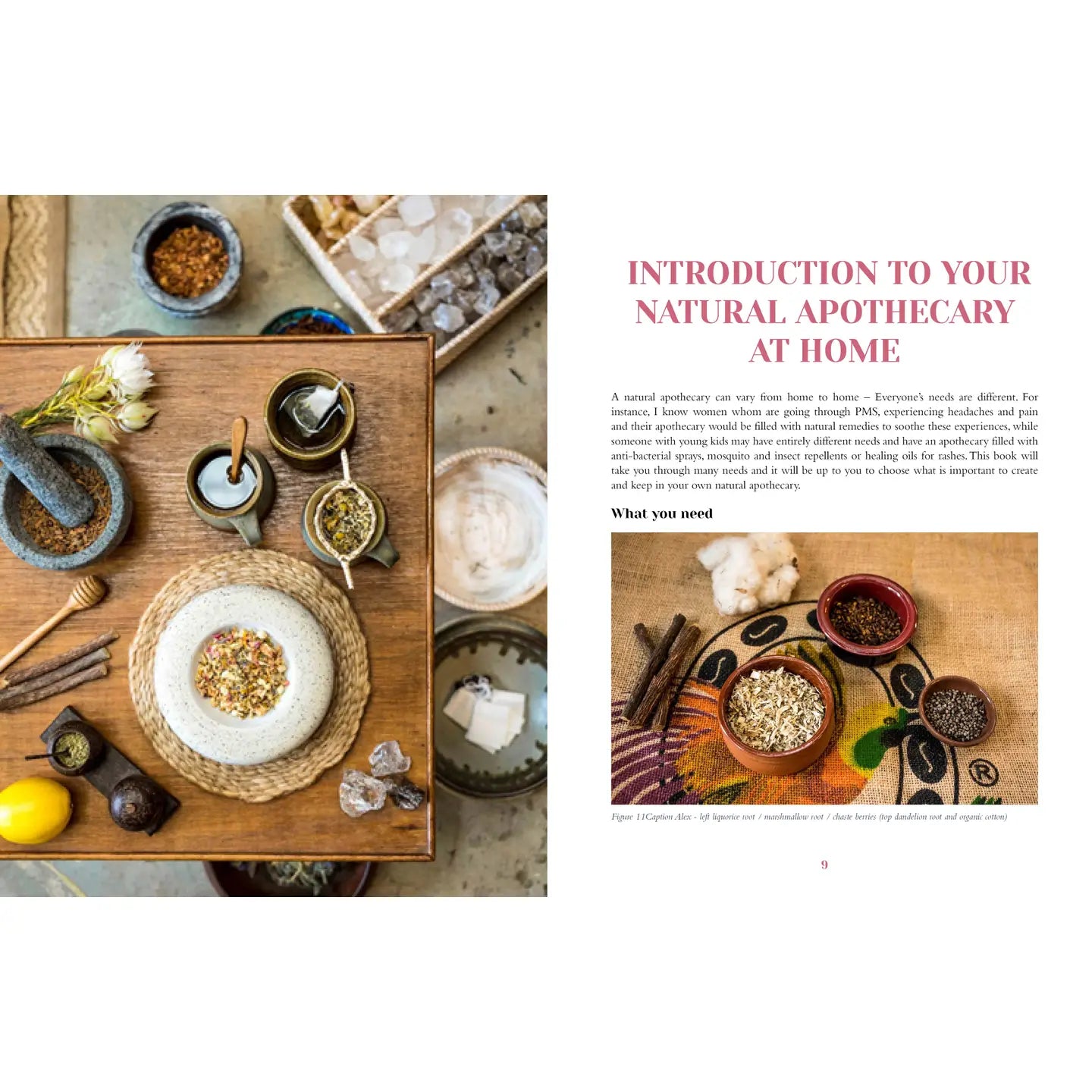 Introduction to your natural apothecary book with herbs and spices on a wooden table