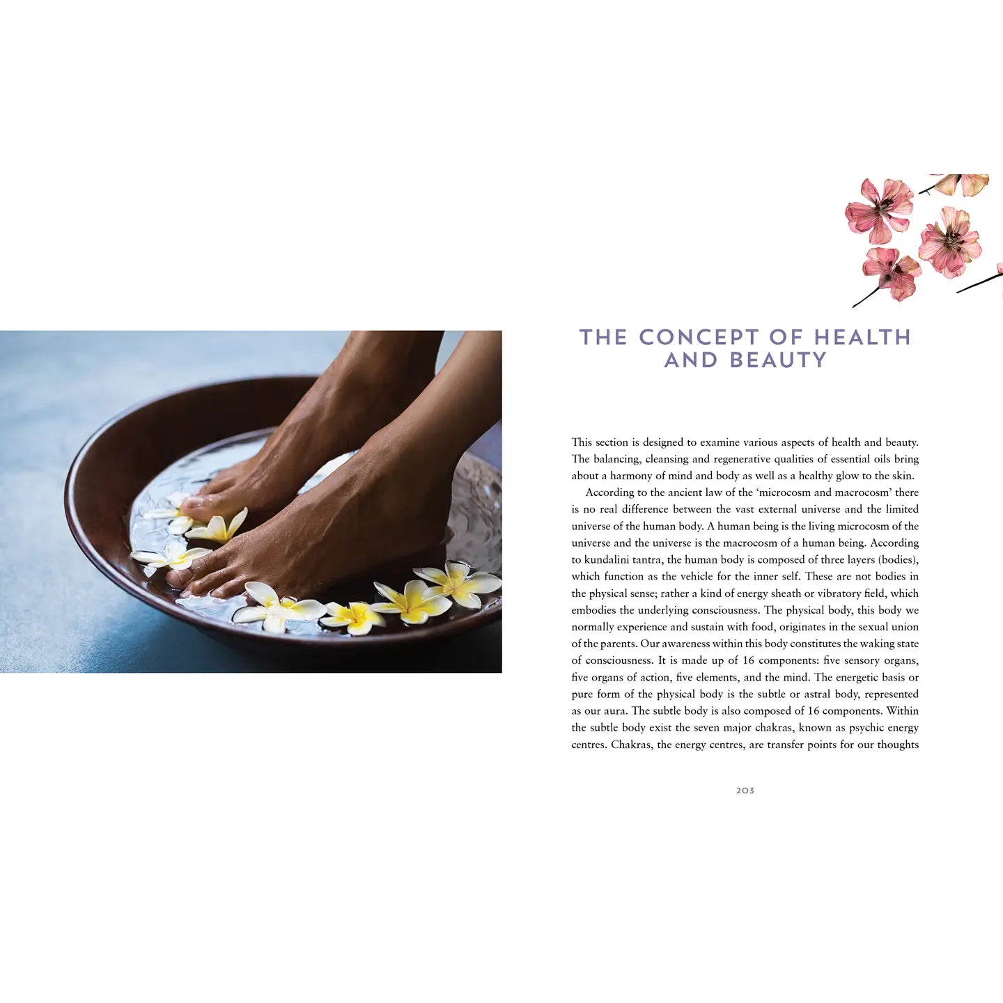 Ayurvedic aromatherapy healing book featuring soothing relaxation techniques and wellness insights