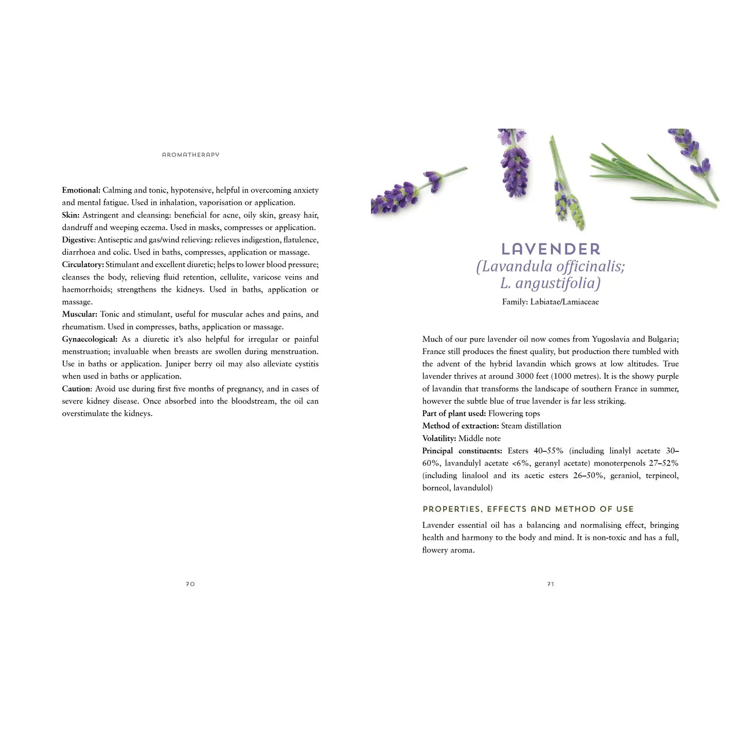 Ayurvedic aromatherapy healing book open to a page about lavender properties and usage details